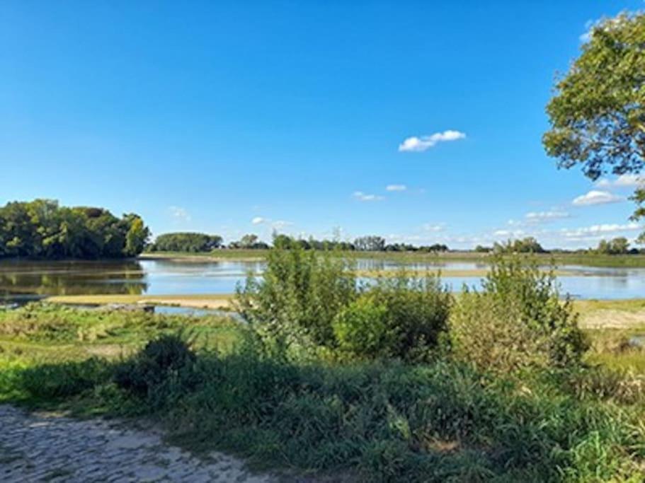 Gite En Bord De Loire Blaison-Saint-Sulpice Extérieur photo