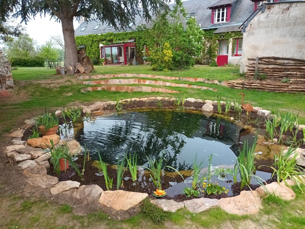 Gite En Bord De Loire Blaison-Saint-Sulpice Extérieur photo